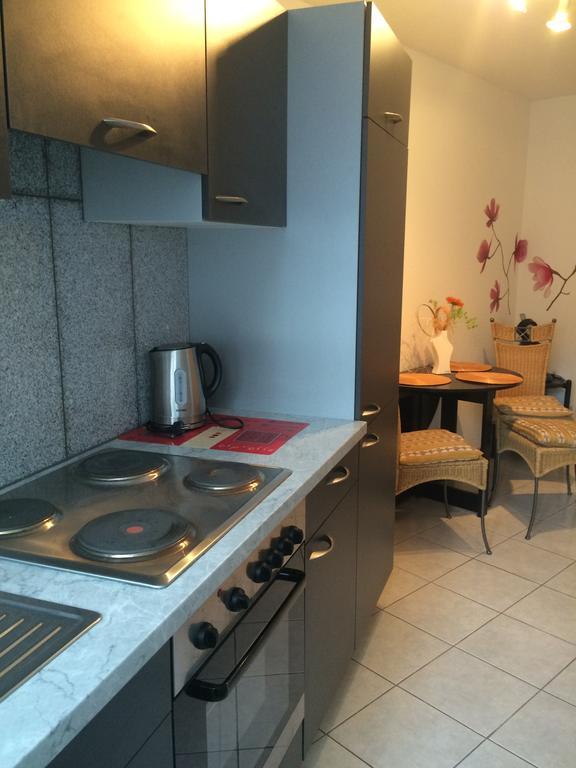 Anton-Ulrich Apartment Meiningen Exterior foto
